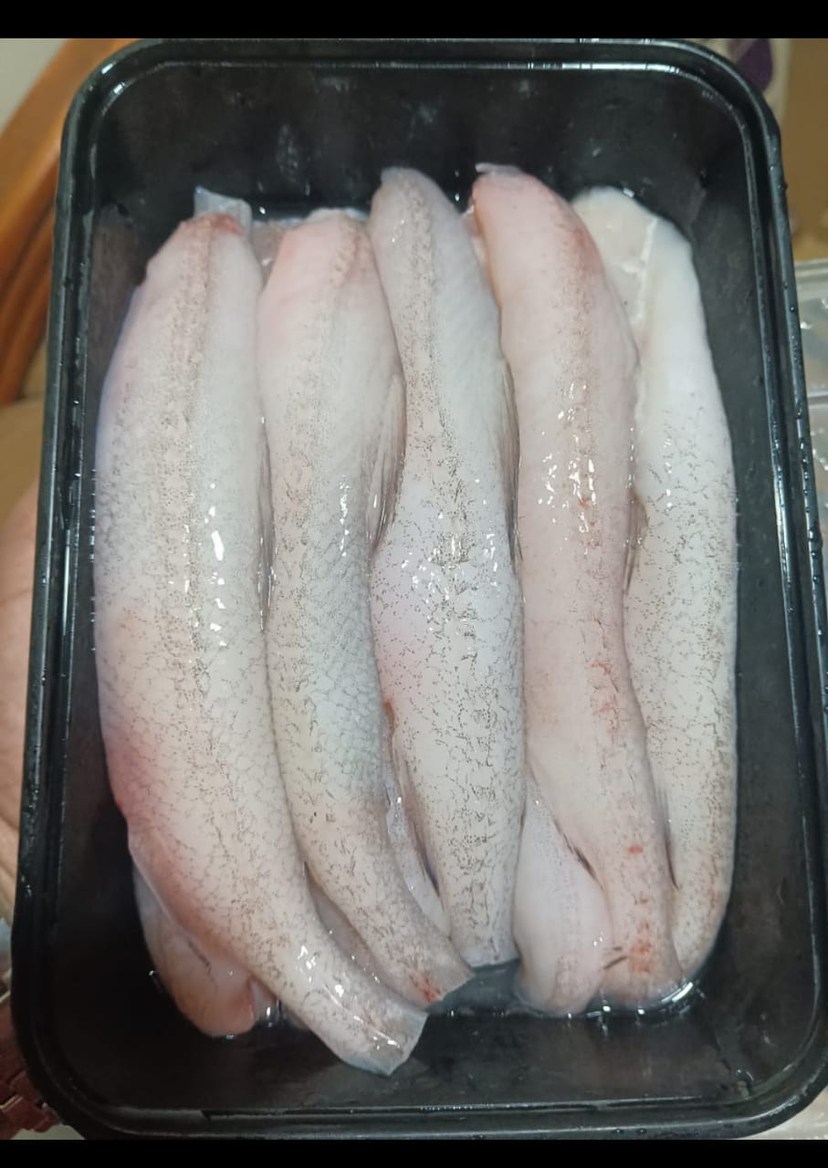 BOMBAY DUCK ( BOMBIL)