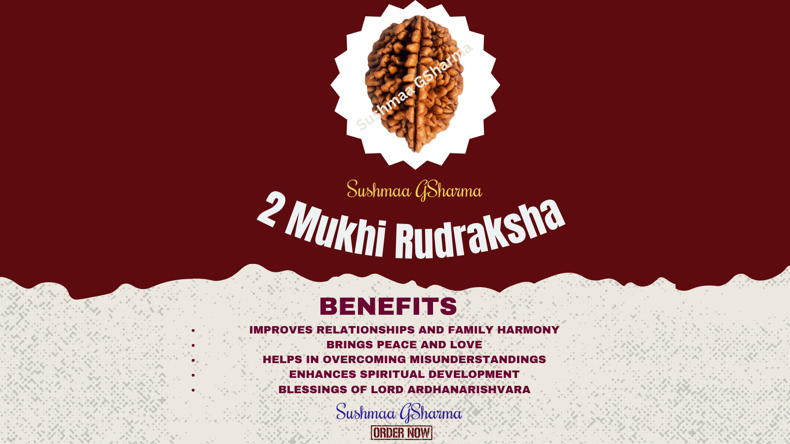 2 Mukhi Rudraksha