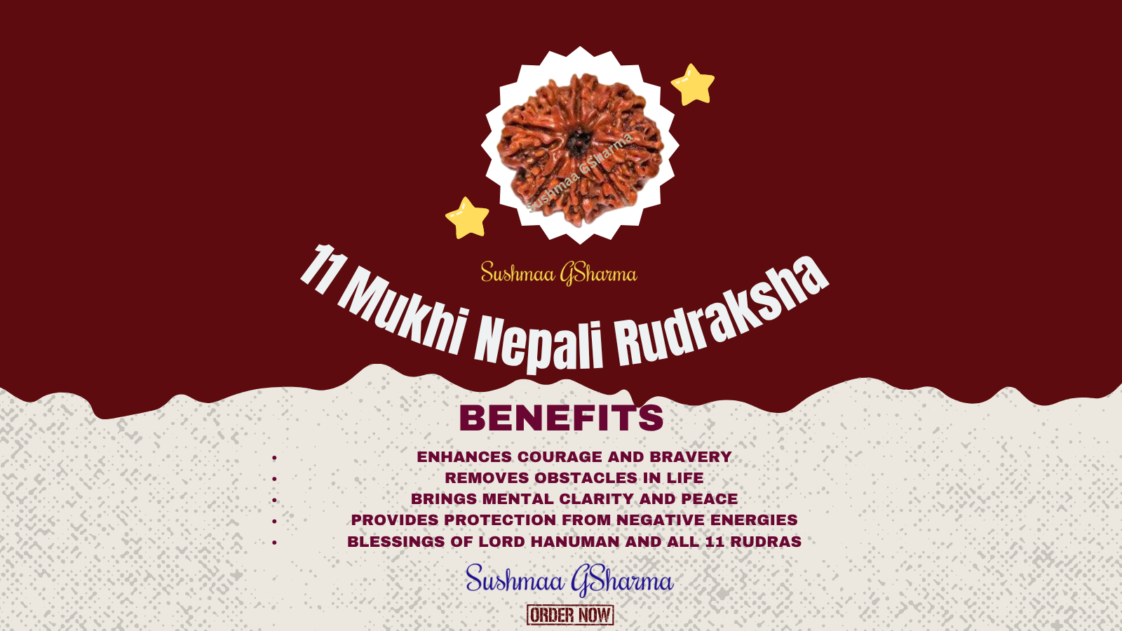 11 Mukhi Rudraksha Nepali