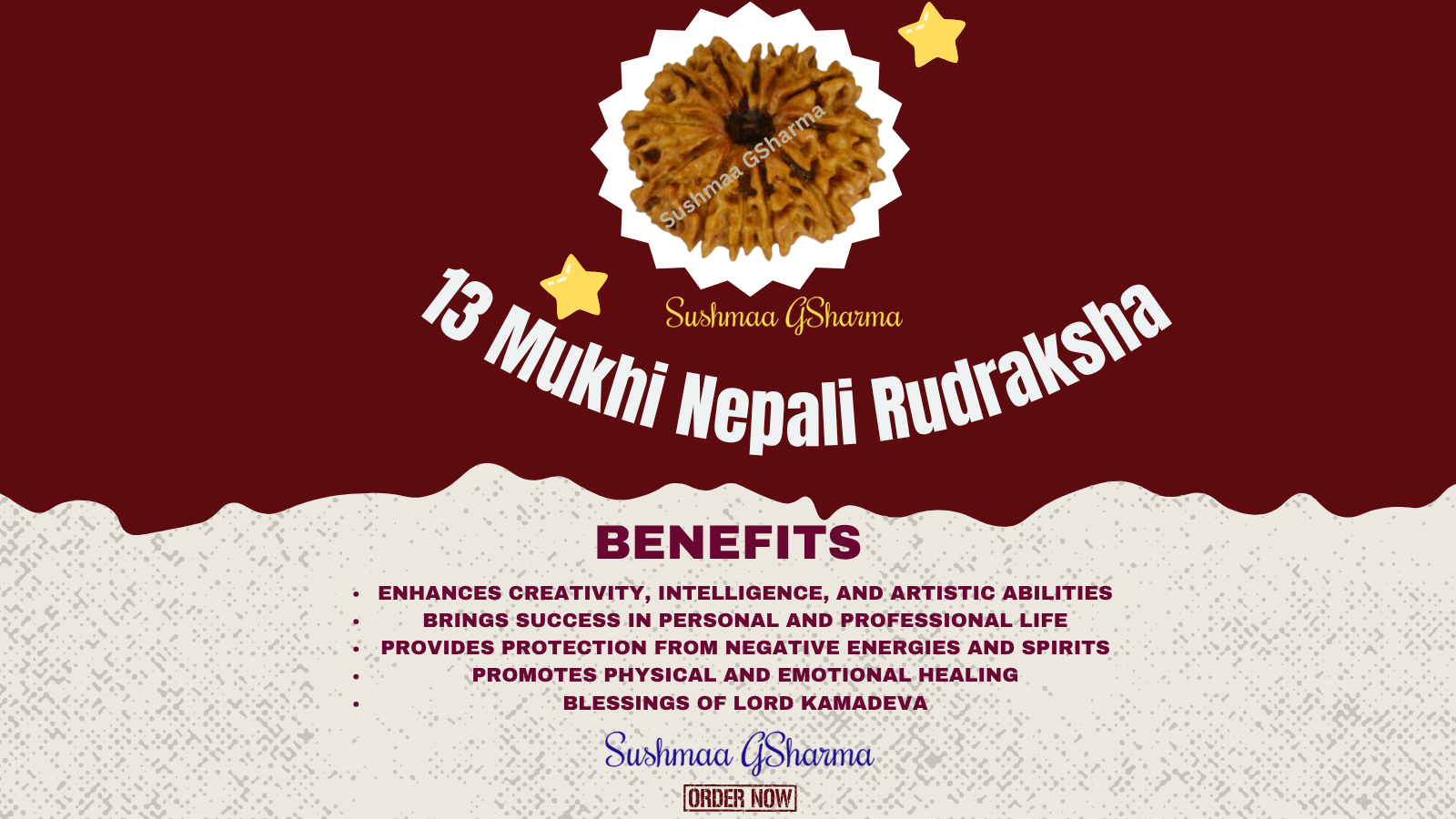 13 Mukhi Rudraksha (Nepali)