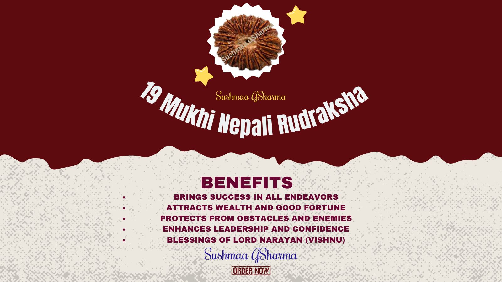 19 Mukhi Rudraksha (Indonesian)