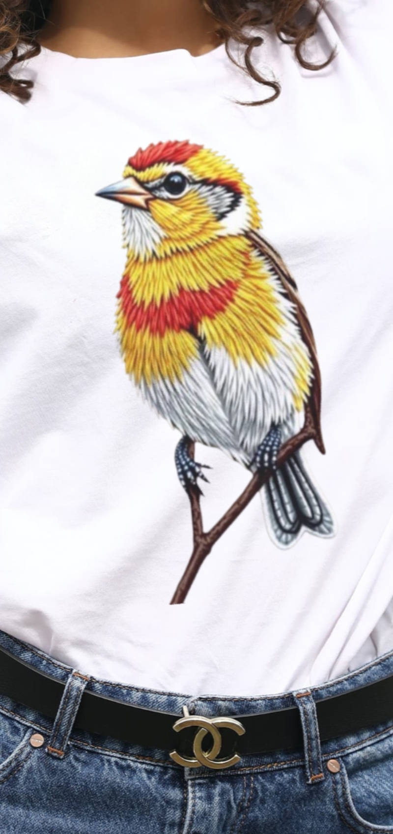 Bird Embroidery T-Shirt