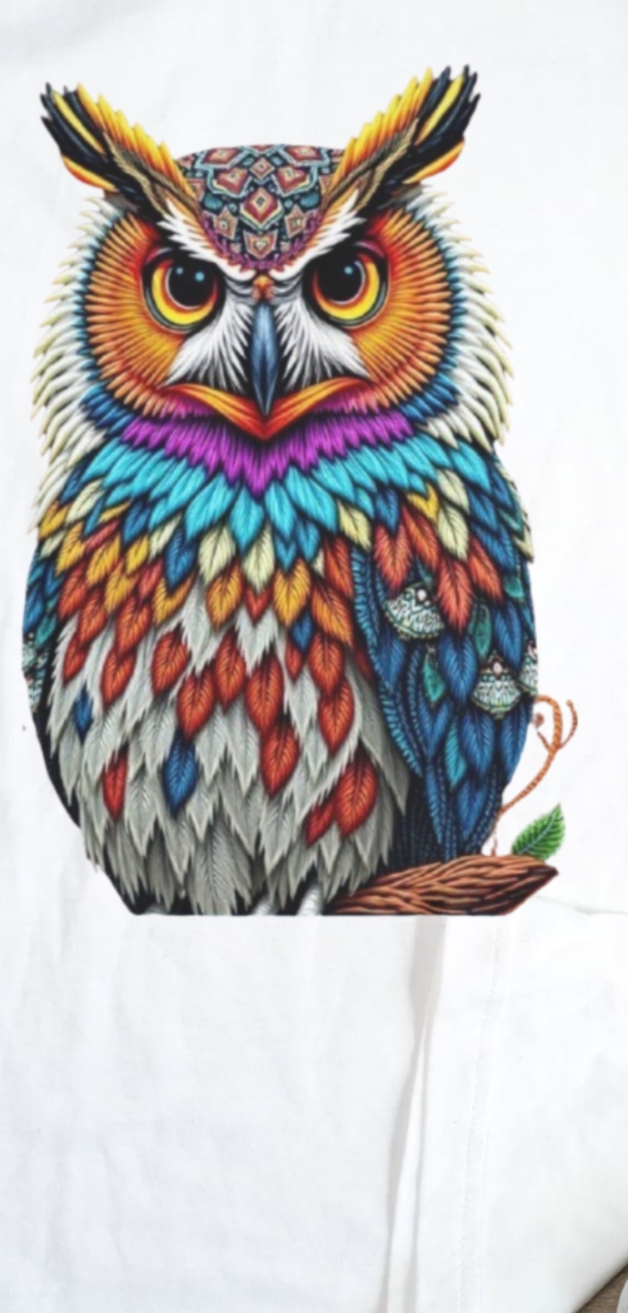 Owl Embroidery T-Shirt