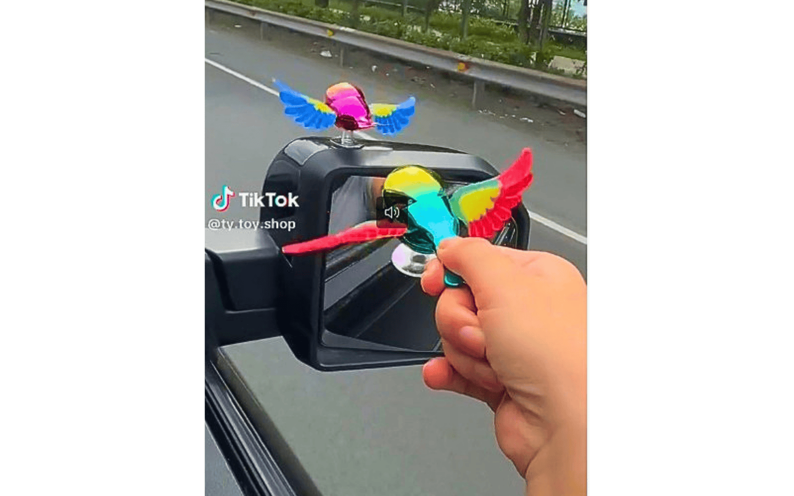 car flying bird