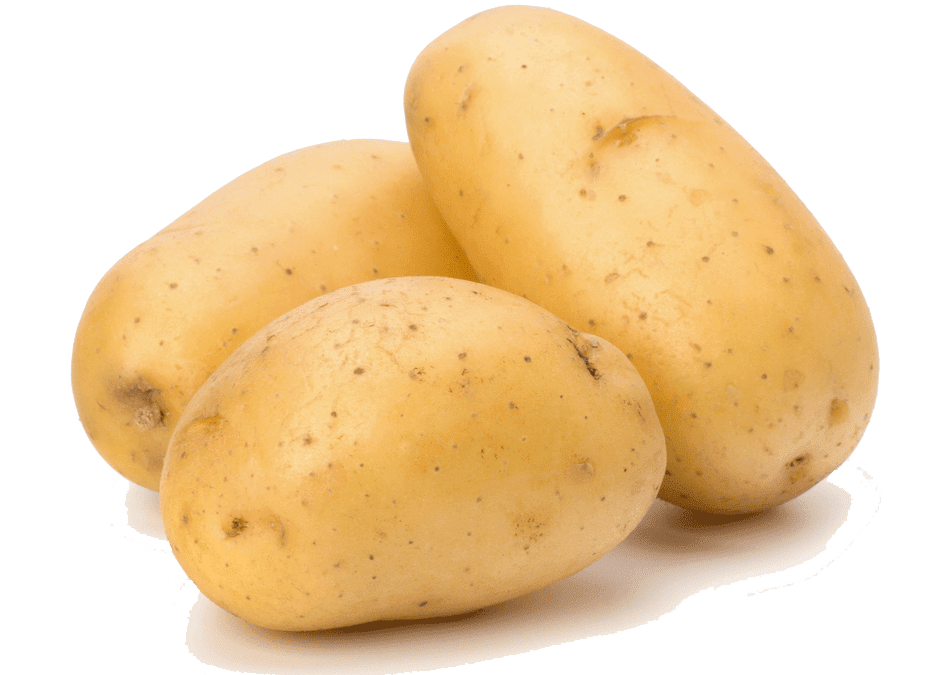 Potato