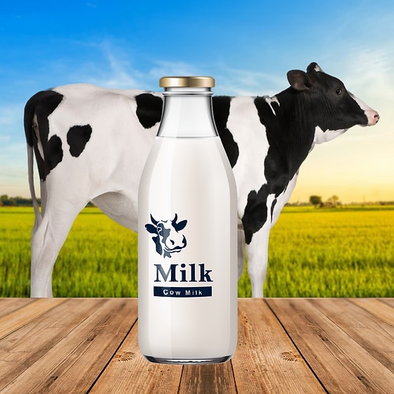 A2 Cow Milk