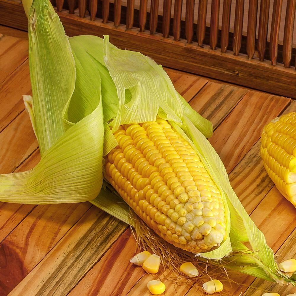 Corn