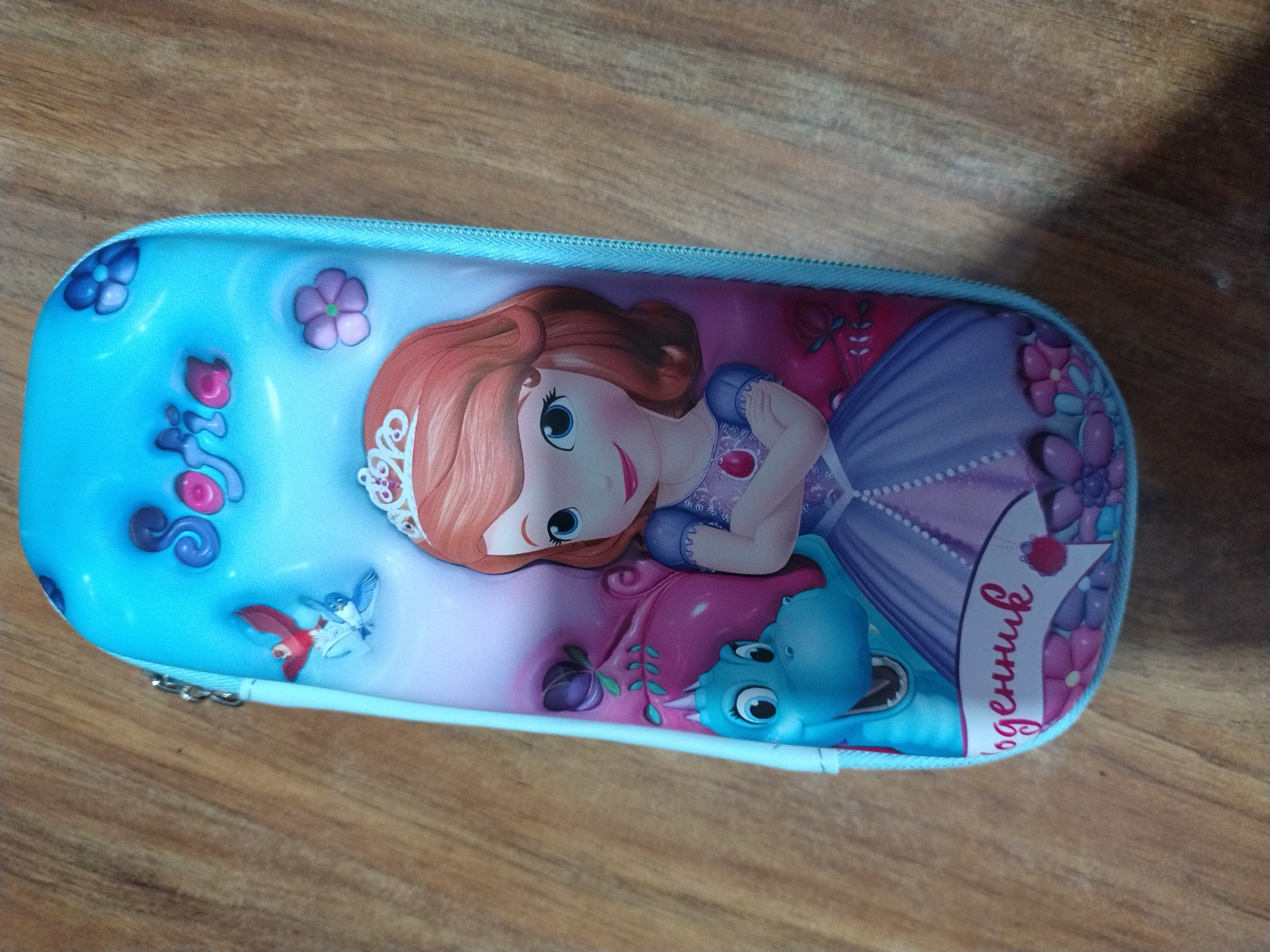 Sofia the First, themed pencil case