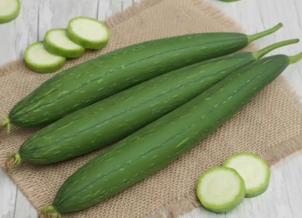 Sponge Gourd