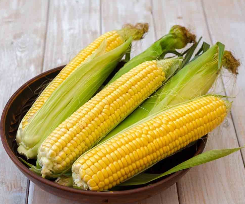 Sweet Corn