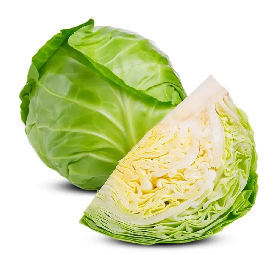 Cabbage