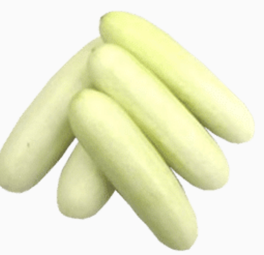 Cucumber White