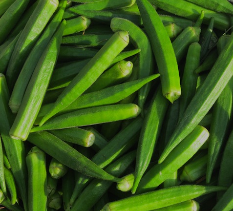 Lady Finger (Bhendi)