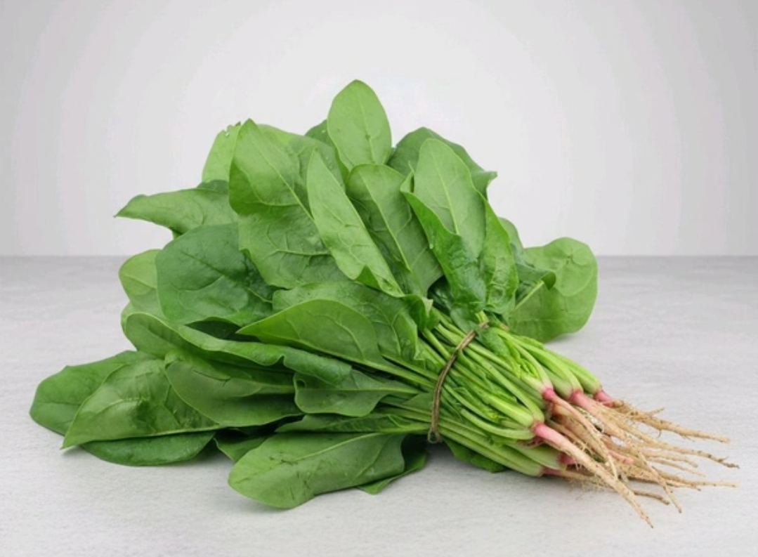 Palak