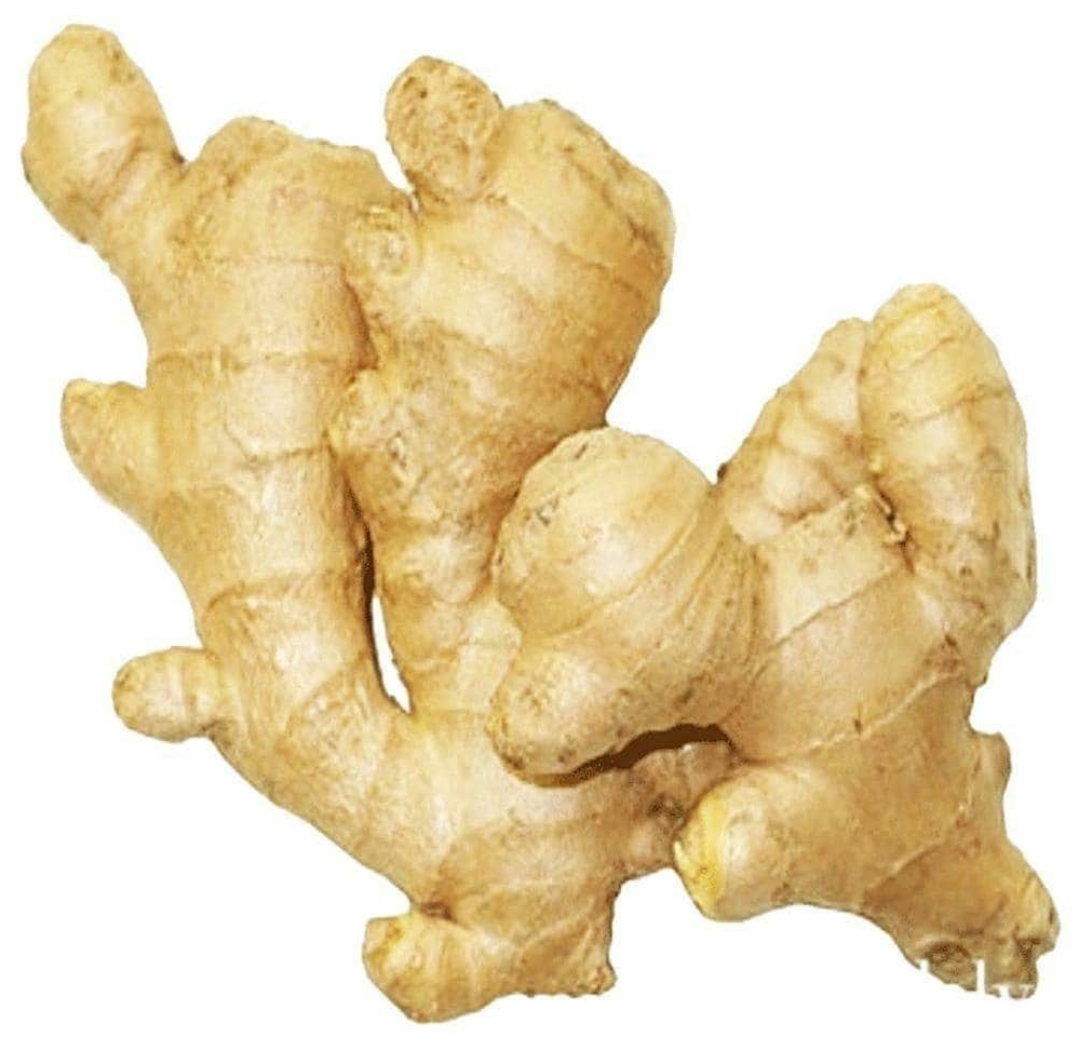 Ginger ( Adrak )