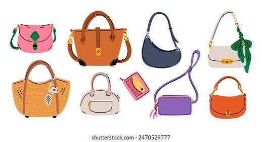 Fancy purse